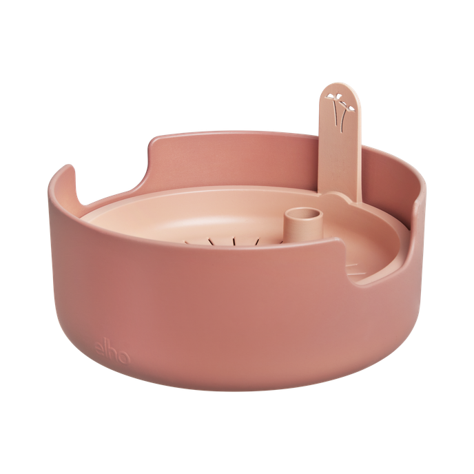 magic microgreens toffee terra